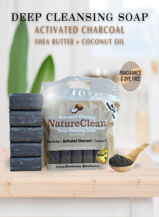 Amish Farms NatureClean Deep Cleansing Soap - Image 4